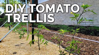 3 DIY Tomato Trellis Ideas Perfect for ANY Budget 🍅 [upl. by Aiekram]