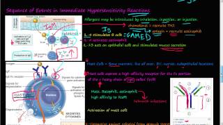 75P  Immediate type 1 hypersensitivity reaction detailed Allergy [upl. by Myrtice]