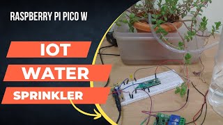 Iot Based Plant Watering System using Raspberry Pi Pico W  Iot Based Home Automation With Pico W [upl. by Albright]