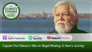 Captain Paul Watsons War on Illegal Whaling A Heros Journey [upl. by Lemmuela]