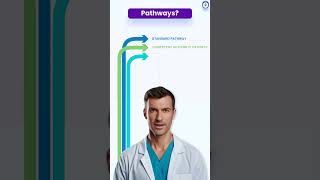 How Doctors apply for Australia Standard pathway EPIC verification NotaryCam AMC Portfolio [upl. by Reniar]