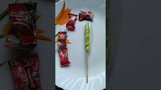 jelly candy 🍡 popsicle shortvideo viral [upl. by Norym534]