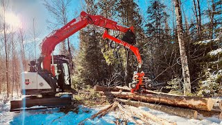 Nisula 425H harvester head on 75 ton excavator in Québec [upl. by Aleahc]