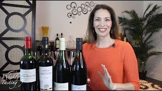 Classic Regions In France  Wine Tasting [upl. by Ahsenor]