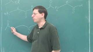 Organic chemistry Amino acids and peptides 13 [upl. by Eak232]