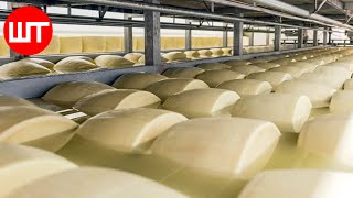 Modern Cheese Making Process That Youve Never Seen Before  Food Factory [upl. by Cariotta583]