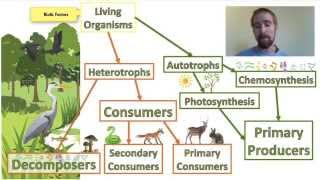 Biology 012 Ecosystems  Biotic and Abiotic Factors [upl. by Aisatal]