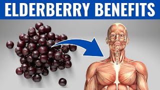 ELDERBERRY BENEFITS  13 Amazing Health Benefits of Elderberry❗️ [upl. by Neeham]