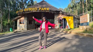 Ethiopia Travel Vlog  Entoto Park Full Tour [upl. by Lehcir515]