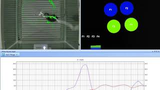 CineLyzer with Photometry Demo [upl. by Oiziruam]