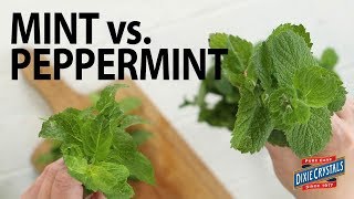 The Difference Between Mint amp Peppermint [upl. by Ybba]