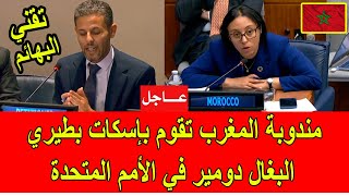 عاجل  مندوبة المغرب في الأمم المتحدة تقوم بإسكات تقني البهائم الجزائري دومير [upl. by Briscoe]