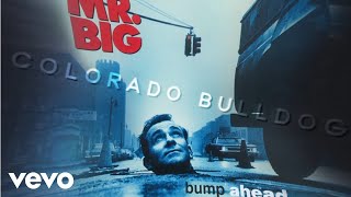 Mr Big  Colorado Bulldog audio [upl. by Uahsoj]