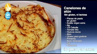 Receta de Canelones con atun sin gluten y sin lactosa como se hace [upl. by Baudoin676]