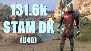 ESO  Stamina Dragonknight 1316k PvE DPS Build  Endless Archive U40 [upl. by Jasisa]