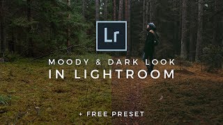 Dark Moody Lightroom Editing Tutorial FREE LIGHTROOM PRESET How to edit dark and moody photo style [upl. by Filiano237]