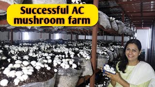 Hi tech ac mushroom farm marketing  compost  Profit and loss । India farming management [upl. by Sallyann]