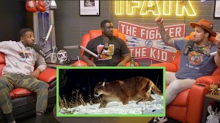 TFATK REACTS To Cougar Stalking Hiker Video [upl. by Cybil]