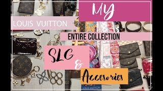 Entire Louis Vuitton SLG  accessories Collection 2018 [upl. by Nivla]