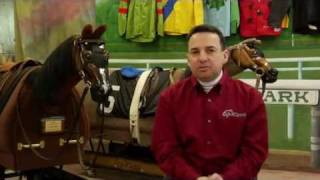 How to Retrain a Thoroughbred Horse [upl. by Enisaj]