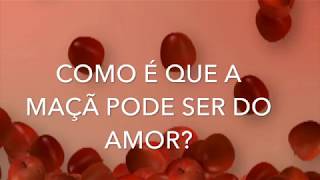 quotMaçã do Amorquot  Música em Família  LYRIC VIDEO [upl. by Gilliette340]