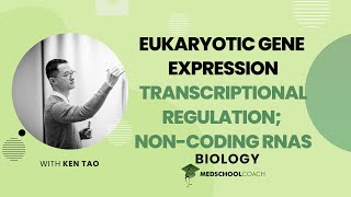 Transcriptional Regulation amp NonCoding RNAs [upl. by Fotzsyzrk98]