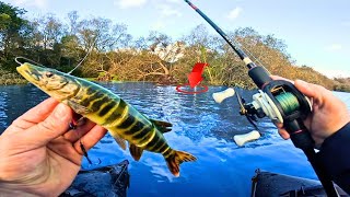 je pêche juste après LA TEMPÊTE  et le GROS BROCHET MÉTRÉ de létang est ÉNERVÉ    4D pike [upl. by Lainey]