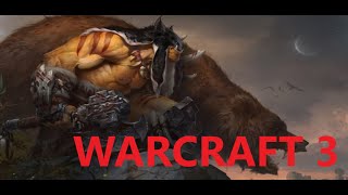 Warcraft 3 Editor  1 diel  Začiatok mapy [upl. by Nodnart630]