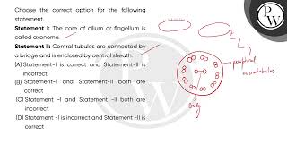 Choose the correct option for the following statement\nStatement I The core of cilium or flage [upl. by Savadove524]