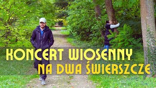 Koncert wiosenny na dwa świerszcze  na żywo 🔴 [upl. by Florin]