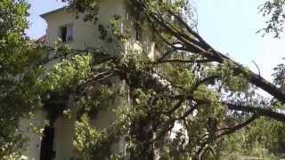 Essen Stadtwald nach dem Unwetter vom 962014 [upl. by Giustina780]