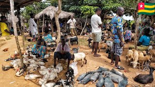 Rural village market day in Togo west Africa Cost of organic food in my African village [upl. by Cobbie216]