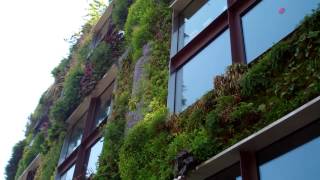 URBAN OASISGREEN FACADE MUSEE QUAI BRANLY PARIS [upl. by Ociral]