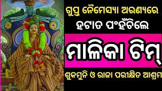 ଗୁପ୍ତ ନୈମସ୍ୟା ଅରଣ୍ୟରେ ପଂହଁଚିଲେ ମାଳିକା ଟିମ nayakrcreation malika bachana odiakalkiavatar malika [upl. by Yramesor266]