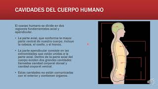 ANATOMÍA TOPOGRÁFICA [upl. by Naashar]