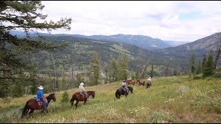 Teton Wilderness BridgerTeton National Forest [upl. by Aihsot]