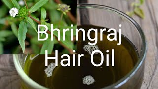 Bhringraj Hair Oil கரிசலாங்கண்ணி எண்ணெய்Karisalankanni Hair Oil For Hair Growth in Tamil [upl. by Larsen]