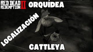 Localización de las 5 Orquídeas Cattleya de RDR2 [upl. by Elayne]