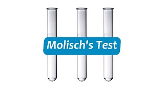 Molischs Test [upl. by Nangatrad699]