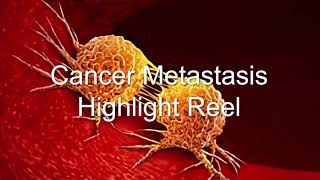 Cancer Metastasis Highlight Reel  Bioxytran BIXT Takes on Cancer [upl. by Ahsikan404]