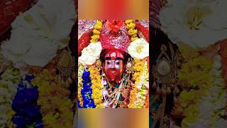 🌺Joy Maa Tara🌺matara song🙏 [upl. by Aniretac]