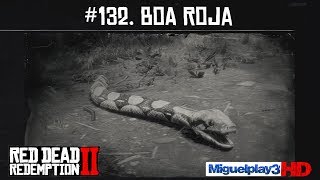 Localización Boa Roja  132 Compendio Animales  Red dead redemption 2 [upl. by Adnirak746]