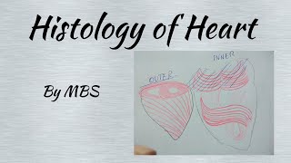 Histology of heart laiq hussain [upl. by Salvay]