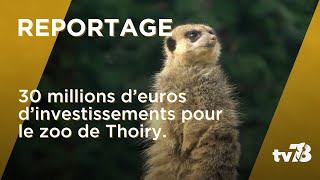 Le Zoo de Thoiry va investir 30 millions dEuros pour booster sa fréquentation [upl. by Hussey960]