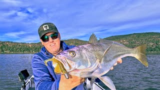 Flicking lures around Pittwater and the Hawkesbury river [upl. by Adamo536]