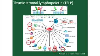 Biologics for Asthma [upl. by Edieh]