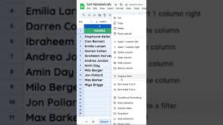 How to sort google sheets alphabetically googlesheets [upl. by Esinyl]