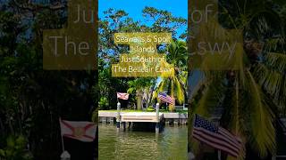 Just south of Clearwater Beach and Sand Key beautiful Belleair Beach FL from the intracoastal [upl. by Celisse]