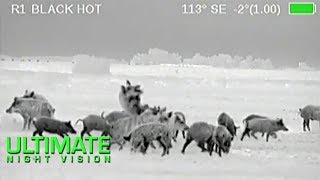 Wild Boar Hunting in Texas  40 Hogs Down with the Armasight Zeus Thermal Scope [upl. by Eriam]