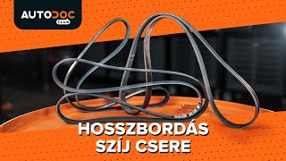 Hosszbordás szíj csere ÚTMUTATÓ AUTODOC [upl. by Adelaida]